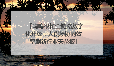鸣鸣很忙全链路数字化升级：人货场协同效率刷新行业天花板