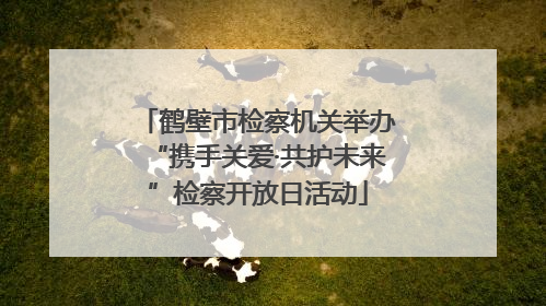 鹤壁市检察机关举办“携手关爱·共护未来”检察开放日活动