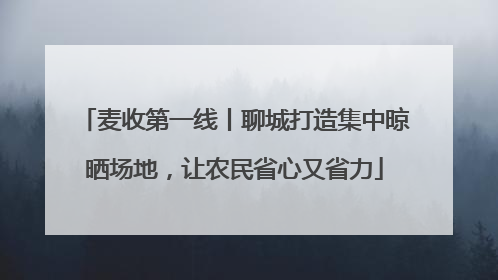 麦收第一线丨聊城打造集中晾晒场地，让农民省心又省力