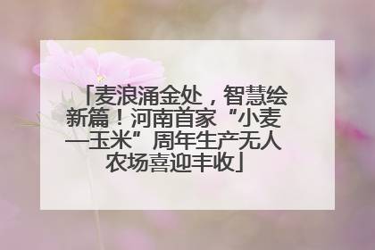 麦浪涌金处，智慧绘新篇！河南首家“小麦—玉米”周年生产无人农场喜迎丰收