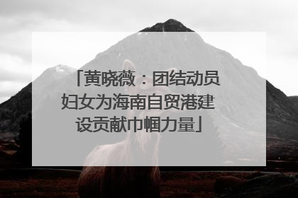 黄晓薇：团结动员妇女为海南自贸港建设贡献巾帼力量