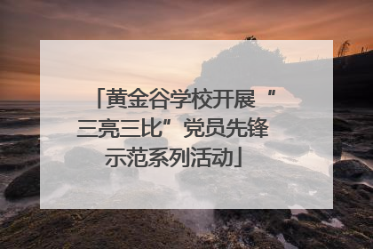 黄金谷学校开展“三亮三比”党员先锋示范系列活动
