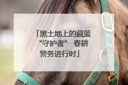 黑土地上的藏蓝“守护者” 春耕警务进行时