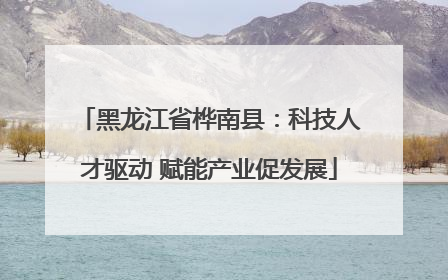 黑龙江省桦南县：科技人才驱动 赋能产业促发展