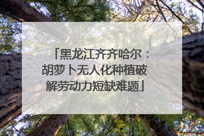 黑龙江齐齐哈尔：胡萝卜无人化种植破解劳动力短缺难题