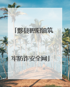 黟县碧阳镇筑牢防诈安全网