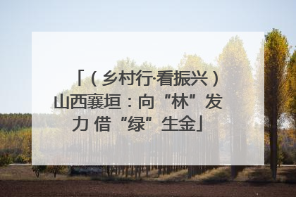 （乡村行·看振兴）山西襄垣：向“林”发力 借“绿”生金