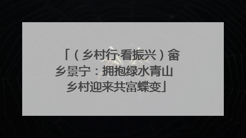 （乡村行·看振兴）畲乡景宁：拥抱绿水青山 乡村迎来共富蝶变