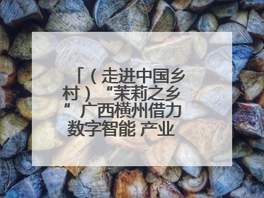 （走进中国乡村）“茉莉之乡”广西横州借力数字智能 产业升级香飘海外