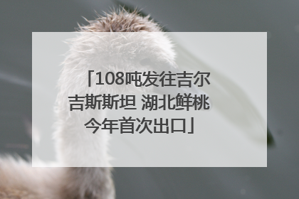 108吨发往吉尔吉斯斯坦 湖北鲜桃今年首次出口