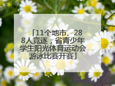11个地市、288人竞逐，省青少年学生阳光体育运动会游泳比赛开赛