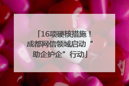 16项硬核措施！成都网信领域启动“助企护企”行动
