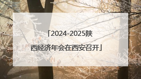 2024-2025陕西经济年会在西安召开