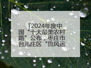 2024年度中国“十大最美农村路”公布，枣庄市台儿庄区“鲁风运河”古城文化廊道上榜！