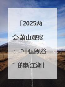 2025两会·萧山观察：“中国视谷”的新江湖