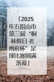 2025年五指山市第三届“桐林假日·老州府杯”足球比赛圆满落幕
