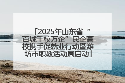 2025年山东省“百城千校万企”民企高校携手促就业行动暨潍坊市职教活动周启动