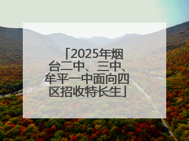 2025年烟台二中、三中、牟平一中面向四区招收特长生