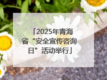 2025年青海省“安全宣传咨询日”活动举行