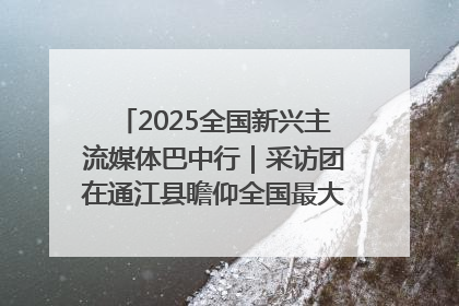 2025全国新兴主流媒体巴中行｜采访团在通江县瞻仰全国最大红军烈士陵园