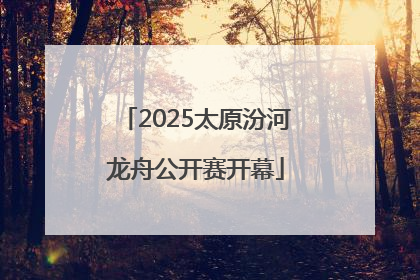 2025太原汾河龙舟公开赛开幕
