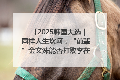 2025韩国大选｜同样人生坎坷，“前辈”金文洙能否打败李在明“逆风翻盘”？