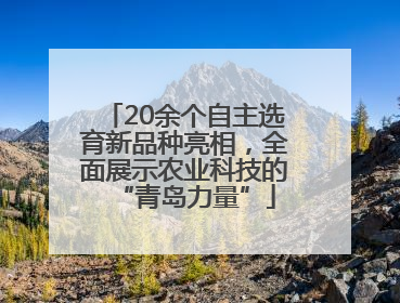 20余个自主选育新品种亮相，全面展示农业科技的“青岛力量”