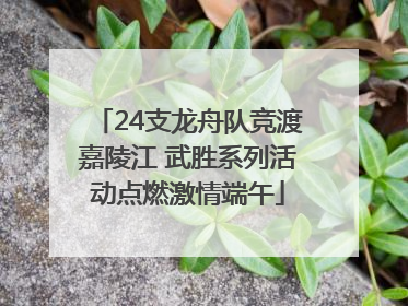 24支龙舟队竞渡嘉陵江 武胜系列活动点燃激情端午
