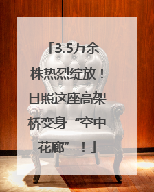 3.5万余株热烈绽放！日照这座高架桥变身“空中花廊”！