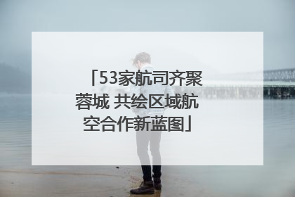 53家航司齐聚蓉城 共绘区域航空合作新蓝图