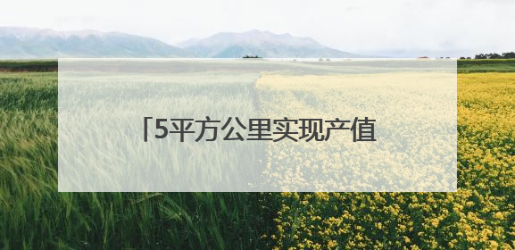 5平方公里实现产值170亿元，贵州这个小镇因“数”而生