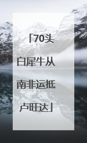 70头白犀牛从南非运抵卢旺达
