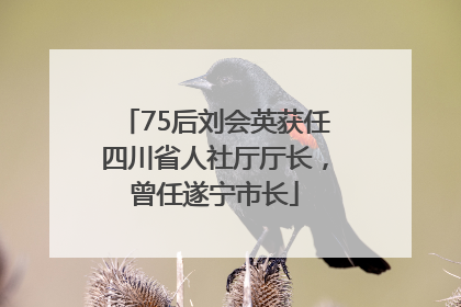 75后刘会英获任四川省人社厅厅长，曾任遂宁市长