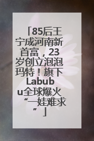 85后王宁成河南新首富，23岁创立泡泡玛特！旗下Labubu全球爆火“一娃难求”