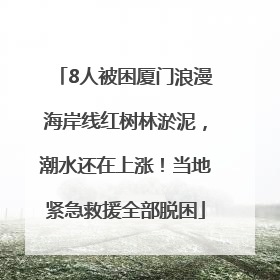 8人被困厦门浪漫海岸线红树林淤泥，潮水还在上涨！当地紧急救援全部脱困