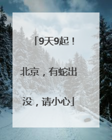 9天9起！北京，有蛇出没，请小心