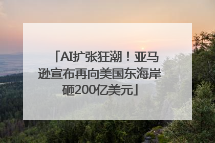 AI扩张狂潮！亚马逊宣布再向美国东海岸砸200亿美元