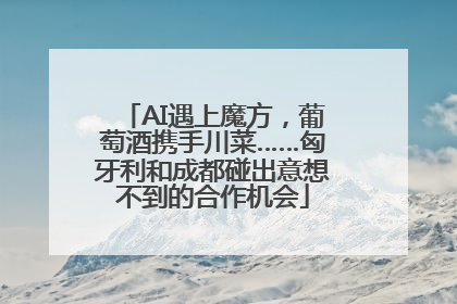 AI遇上魔方，葡萄酒携手川菜……匈牙利和成都碰出意想不到的合作机会