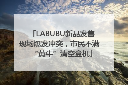 LABUBU新品发售现场爆发冲突，市民不满“黄牛”清空盒机